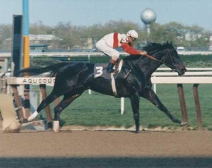 Obrazek