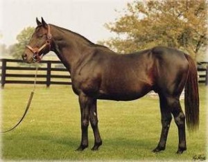 Obrazek